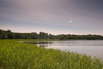 Green lakeside