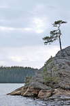 Cliff, lake, forest...