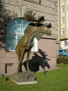 Elk is the distinctive feature of Finnish roads.
