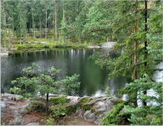 Forest lake