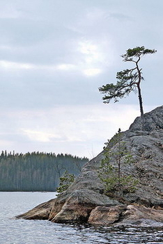 Cliff, lake, forest...