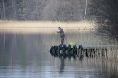 Fisherman
