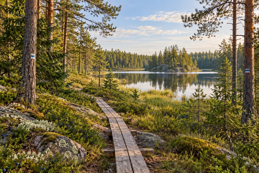 National parks in Western Finland — illustration